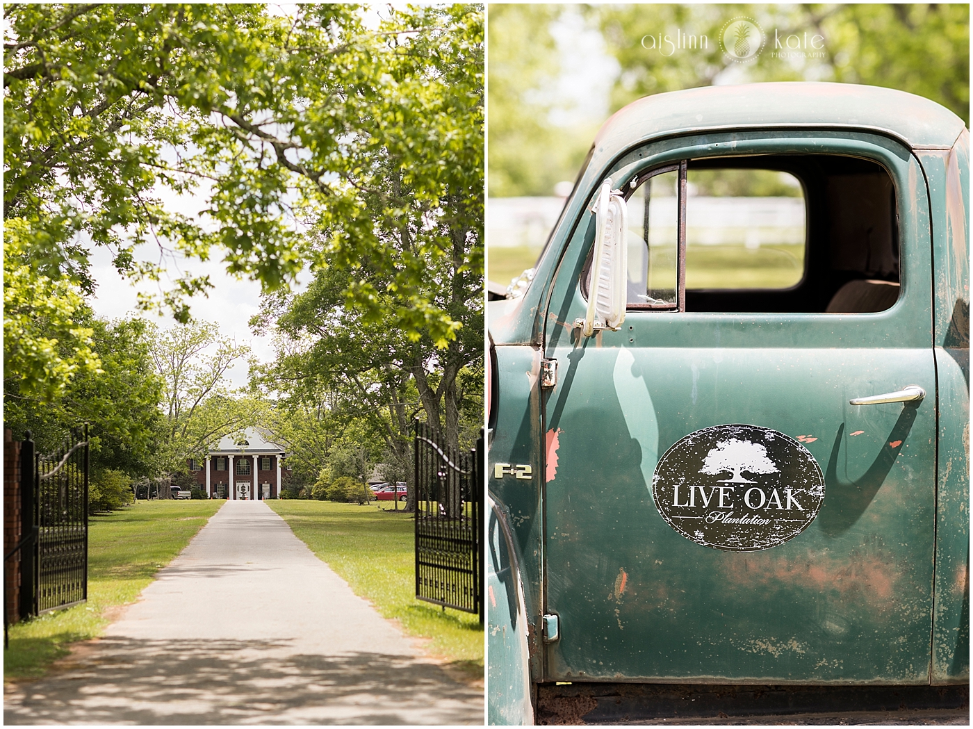   SARA GILLIANNE  |  FIORE  |  LIVE OAK PLANTATION  |  NICOLE + ARTHUR  